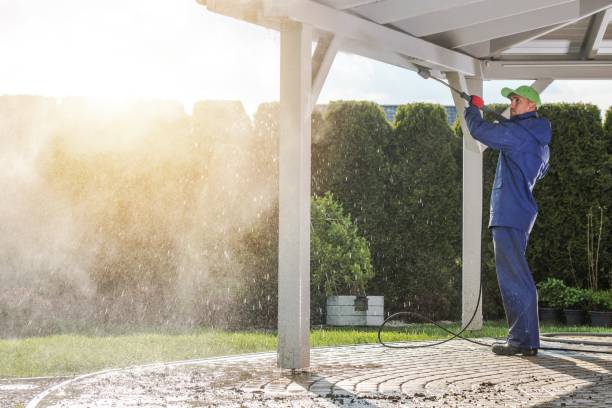 Solar Panel Cleaning in Hollywood Park, TX