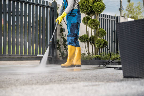 Professional Pressure Washing in Hollywood Park, TX